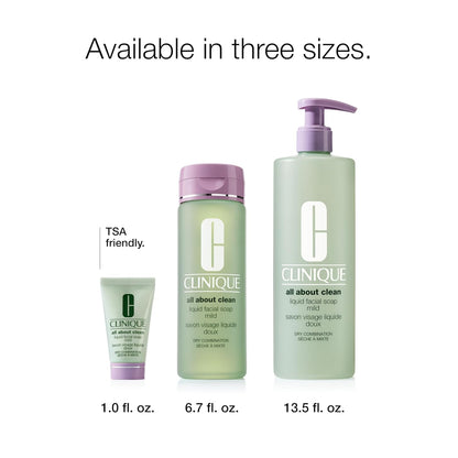 3-Step All about Clean Liquid Gentle Facial Cleanser Soap for Dry Combination Skin | Type 2